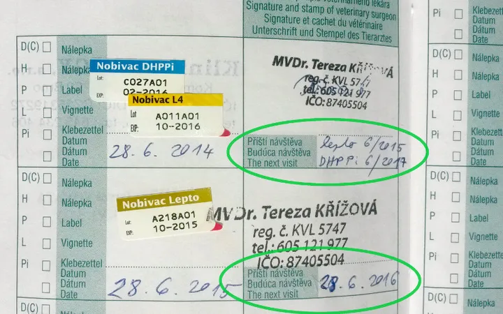 Očkovací průkaz s vyznačeným datem příští návštěvy