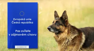 Cestovní pas zvířete (petpas)